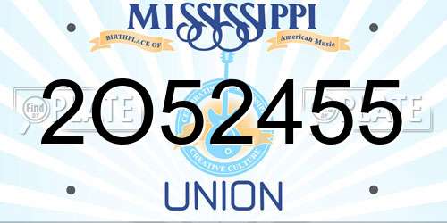 2O52455 Mississippi License Plate