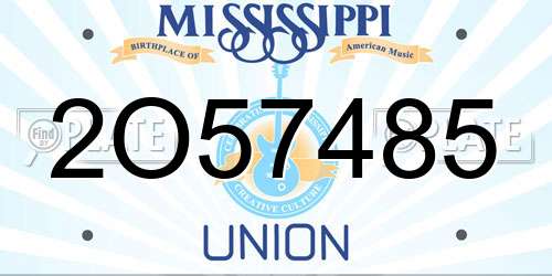 2O57485 Mississippi License Plate