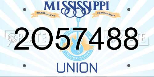 2O57488 Mississippi License Plate