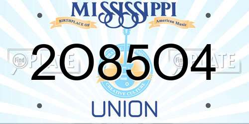 2O85O4 Mississippi License Plate