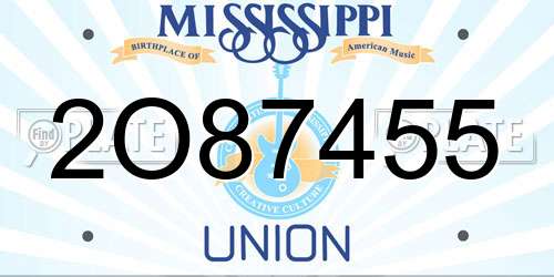 2O87455 Mississippi License Plate