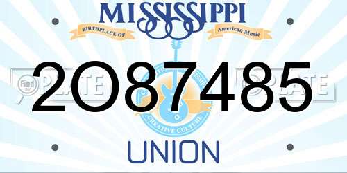 2O87485 Mississippi License Plate