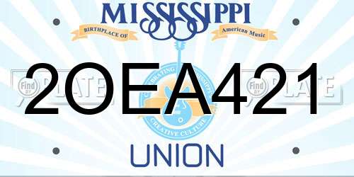 2OEA421 Mississippi License Plate