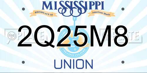 2Q25M8 Mississippi License Plate