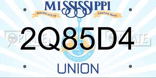 2Q85D4 Mississippi License Plate