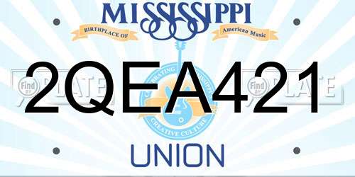 2QEA421 Mississippi License Plate