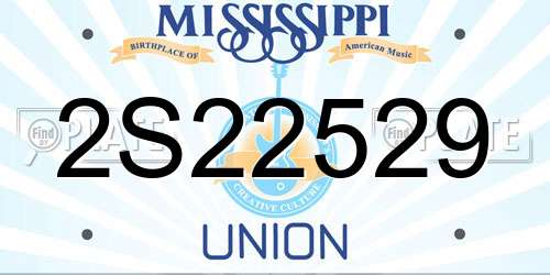 2S22529 Mississippi License Plate