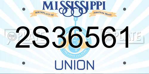 2S36561 Mississippi License Plate