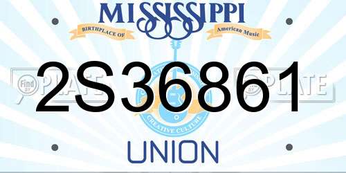 2S36861 Mississippi License Plate