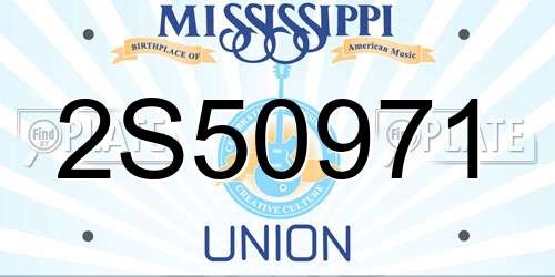 2S50971 Mississippi License Plate