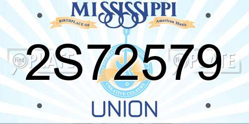 2S72579 Mississippi License Plate