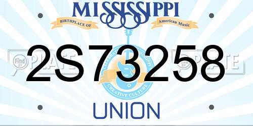 2S73258 Mississippi License Plate