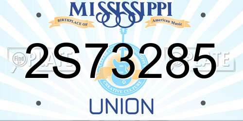2S73285 Mississippi License Plate
