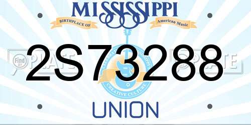 2S73288 Mississippi License Plate