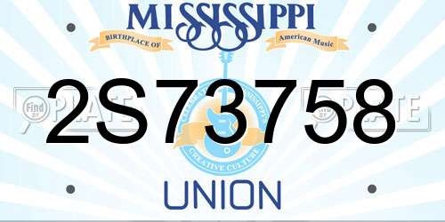 2S73758 Mississippi License Plate