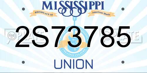 2S73785 Mississippi License Plate