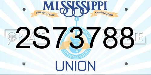 2S73788 Mississippi License Plate