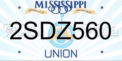 2SDZ560 Mississippi License Plate