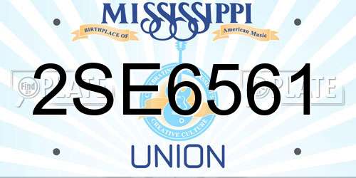 2SE6561 Mississippi License Plate
