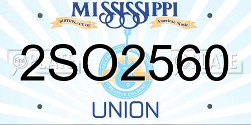 2SO2560 Mississippi License Plate