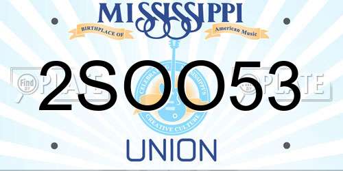 2SOO53 Mississippi License Plate
