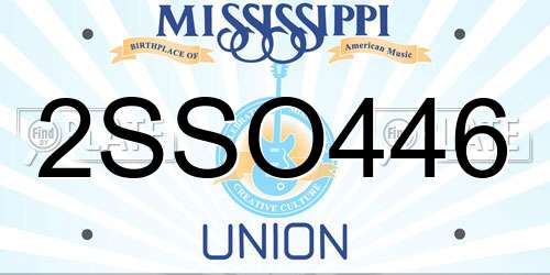 2SSO446 Mississippi License Plate