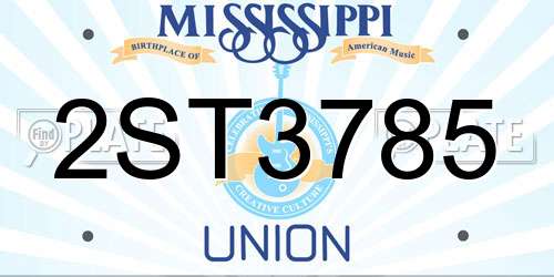 2ST3785 Mississippi License Plate