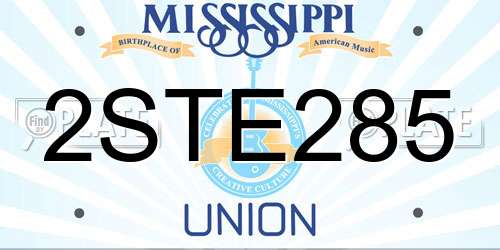 2STE285 Mississippi License Plate