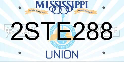 2STE288 Mississippi License Plate