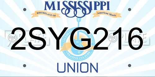 2SYG216 Mississippi License Plate