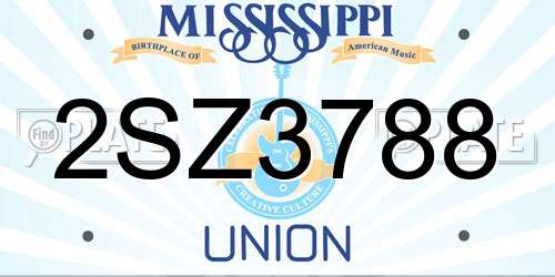 2SZ3788 Mississippi License Plate