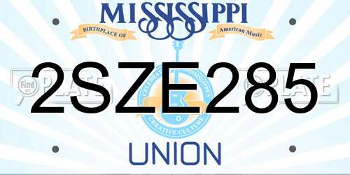 2SZE285 Mississippi License Plate