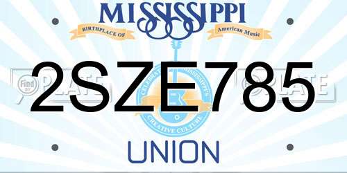 2SZE785 Mississippi License Plate