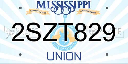 2SZT829 Mississippi License Plate