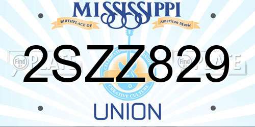 2SZZ829 Mississippi License Plate