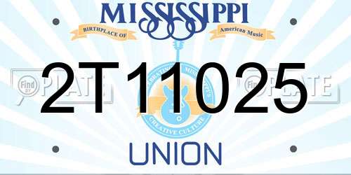 2T11025 Mississippi License Plate