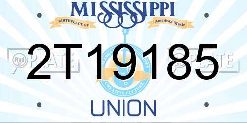 2T19185 Mississippi License Plate