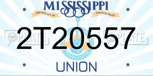 2T20557 Mississippi License Plate