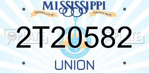 2T20582 Mississippi License Plate