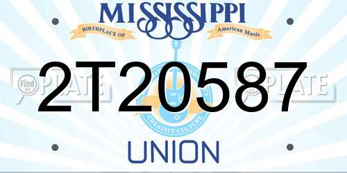 2T20587 Mississippi License Plate
