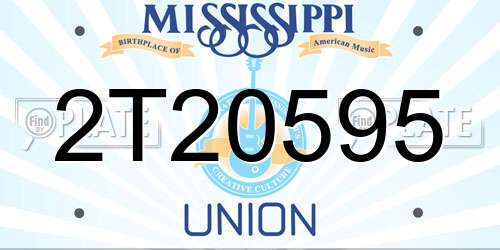 2T20595 Mississippi License Plate