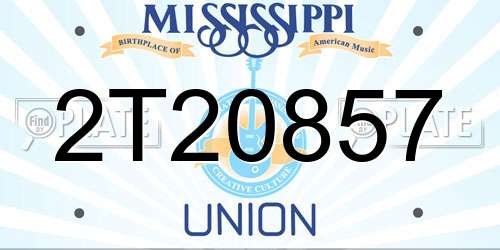 2T20857 Mississippi License Plate