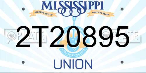2T20895 Mississippi License Plate