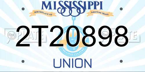 2T20898 Mississippi License Plate