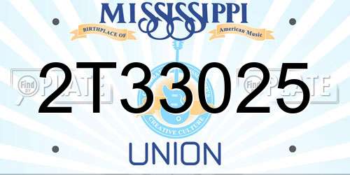 2T33025 Mississippi License Plate