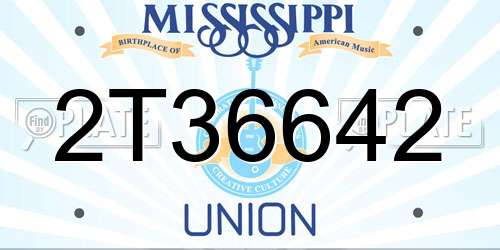 2T36642 Mississippi License Plate