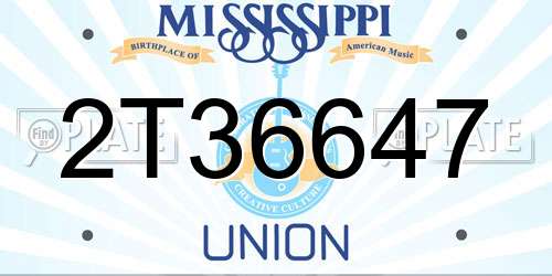 2T36647 Mississippi License Plate