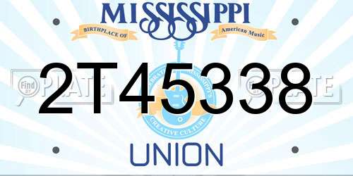 2T45338 Mississippi License Plate