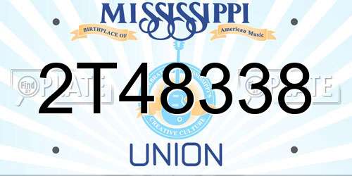 2T48338 Mississippi License Plate