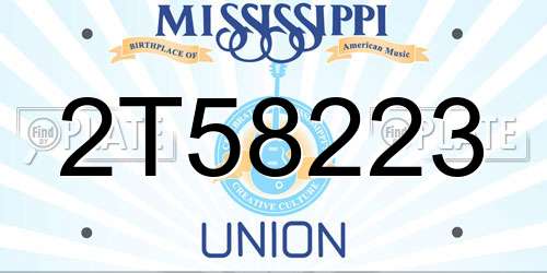 2T58223 Mississippi License Plate